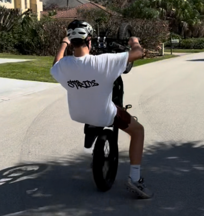 STRIDE Classic T-Shirt